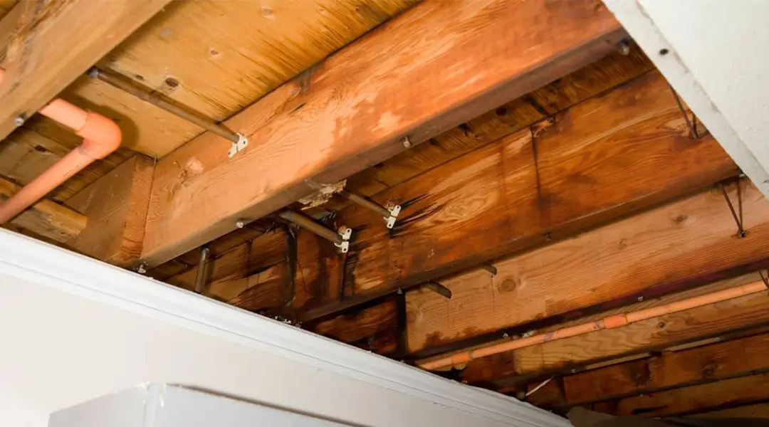 Easy Ways to Prevent Water Leaks and Protect Your Home