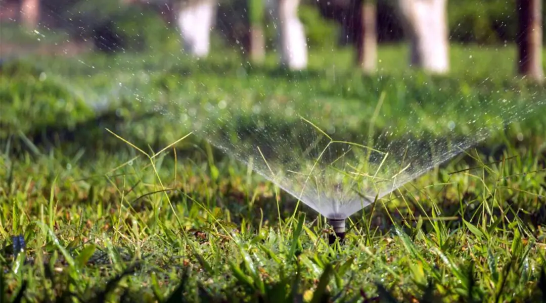 Save Water This Summer with Simple Changes