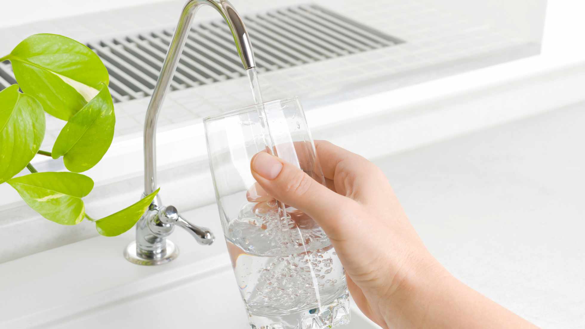 Water Filters