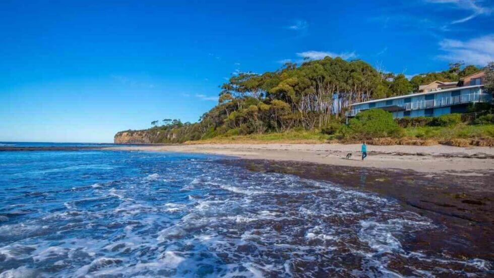 Beach shoreline with ocean waves, a person walking a dog, and houses near a forested area under a clear blue sky.