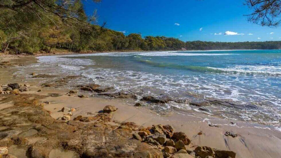 Rocky shoreline with gentle ocean waves and forest in the background on a sunny day.